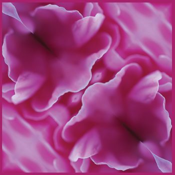 Magenta Edge Scarf   Design by Gail Russell