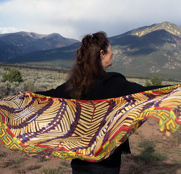 SalProtector1 copy SalProtector1 copy