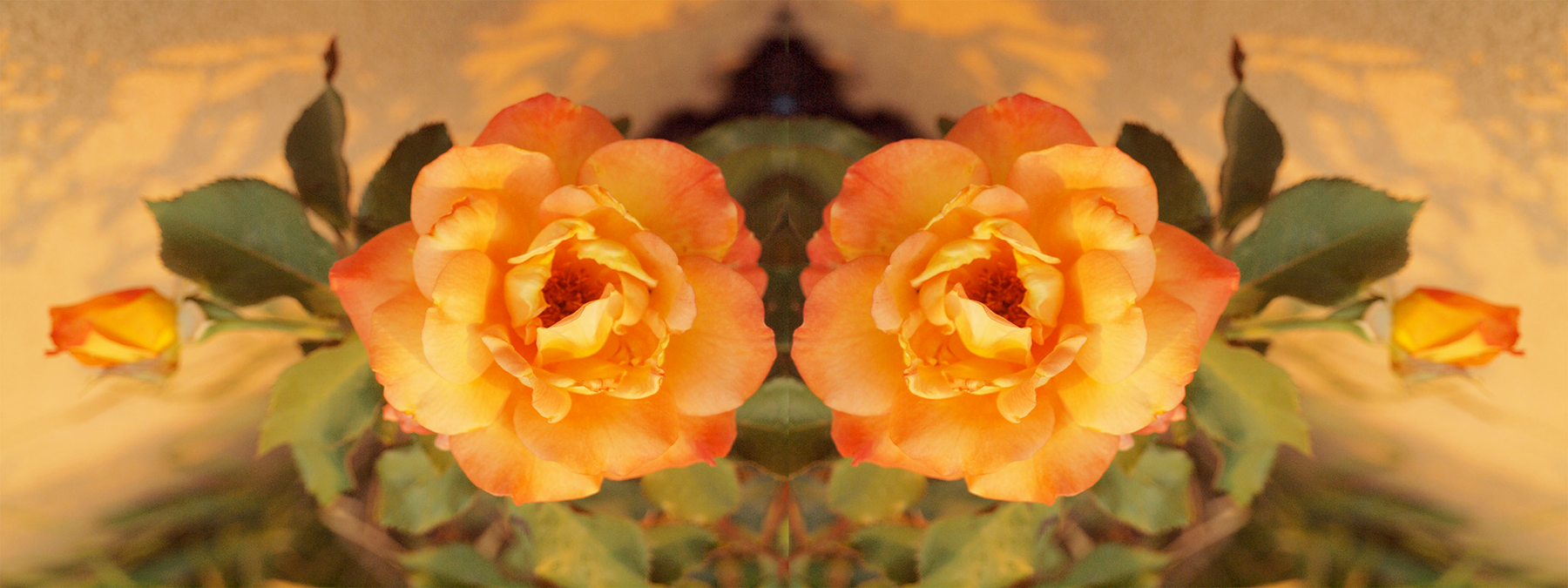 Victorian Roses Shawl <br/> Design by Gail Russell - Image 5