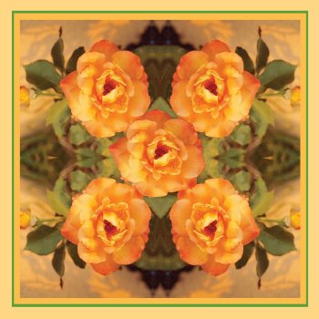 Victorian Roses Scarf   Design by Gail Russell